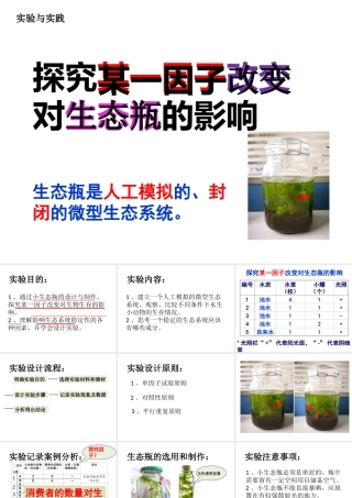 八年级生物下册 第5章 生态系统 5.3 生态系统的稳定性—探究某一因子改变对生态瓶的影响课件 沪教版-沪教版初中八年级下册生物课件