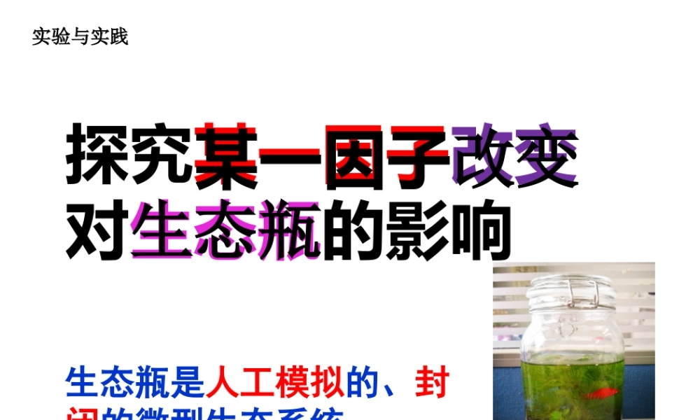 八年级生物下册 第5章 生态系统 5.3 生态系统的稳定性-探究某一因子改变对生态瓶的影响课件 沪教版-沪教级下册生物课件