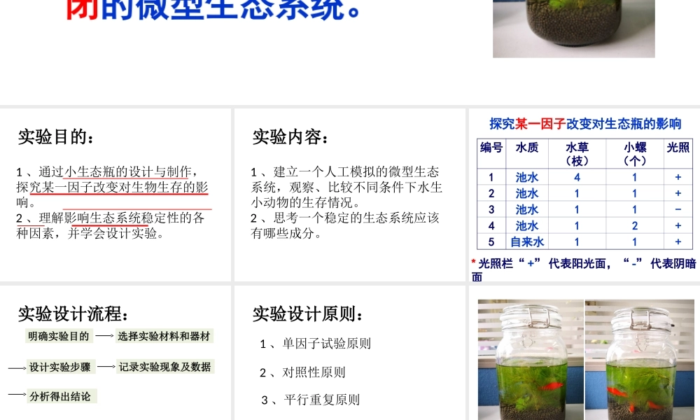 八年级生物下册 第5章 生态系统 5.3 生态系统的稳定性-探究某一因子改变对生态瓶的影响课件 沪教版-沪教级下册生物课件