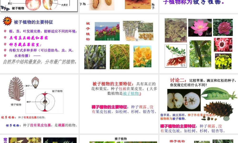 八年级生物下册 第22章 第3节 植物的主要类群课件 北师大版