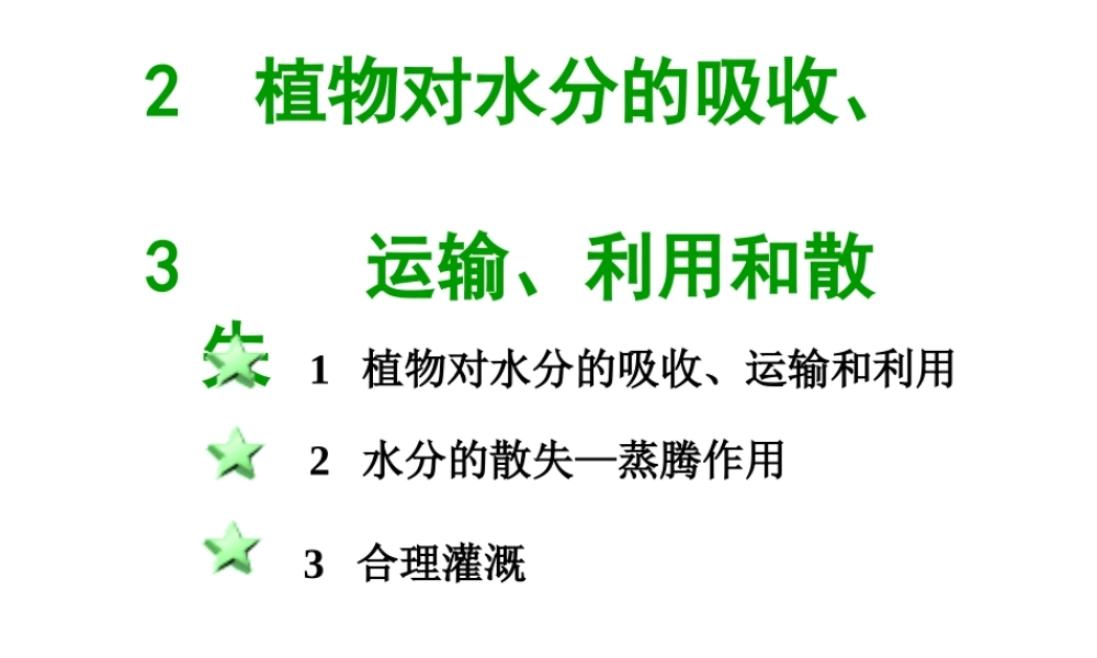 八年级科学上册 6.2植物对水分的吸收、运输、利用和散失课件 华东师大版