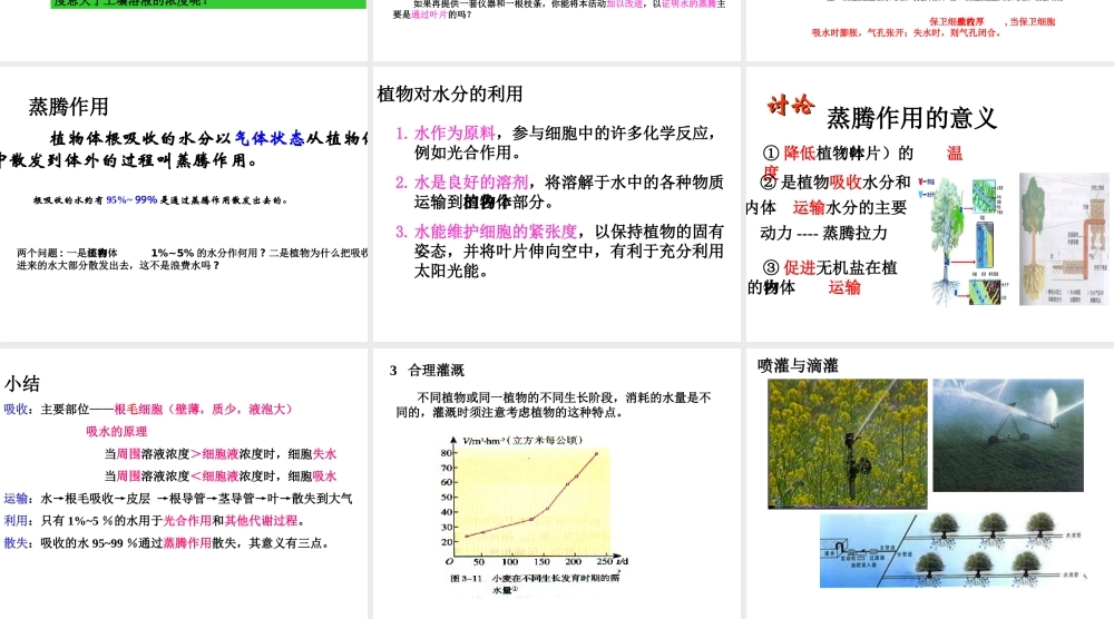 八年级科学上册 6.2植物对水分的吸收、运输、利用和散失课件 华东师大版