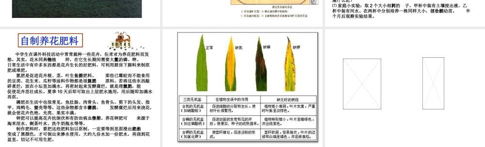 八年级科学上册 6.3 植物对无机盐的吸收、运输、利用课件 华东师大版