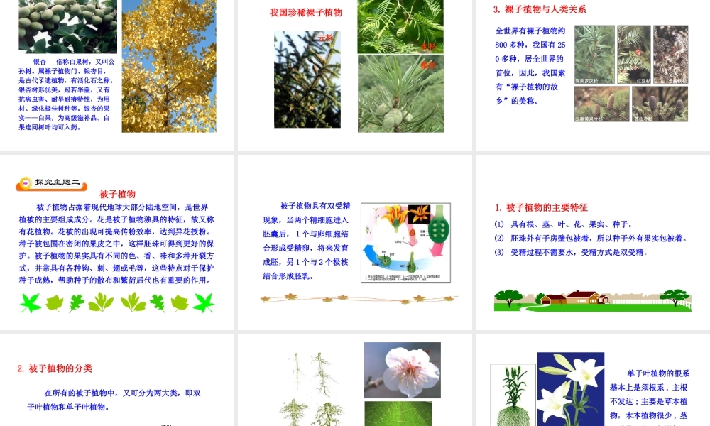 八年级生物下册 第22章 第3节 植物的主要类群课件1 北师大版
