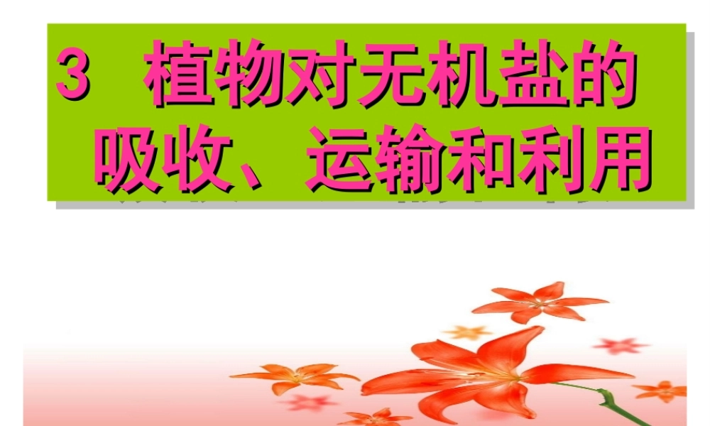 八年级科学上册 6.3植物对无机盐的吸收、运输和利用课件 华东师大版