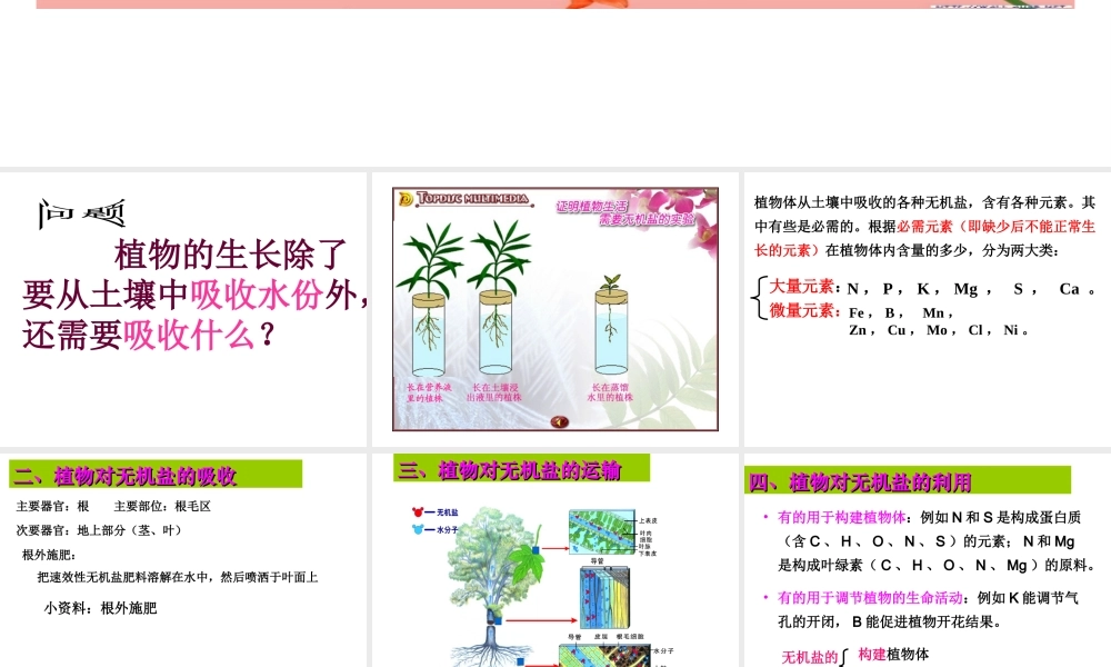 八年级科学上册 6.3植物对无机盐的吸收、运输和利用课件 华东师大版