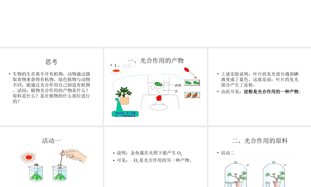 八年级科学上册 6.4 植物体内有机物的制造和分解课件 华东师大版