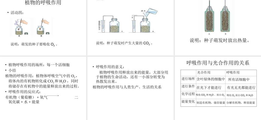 八年级科学上册 6.4 植物体内有机物的制造和分解课件 华东师大版