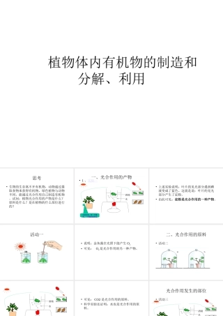 八年级科学上册 6.4 植物体内有机物的制造和分解课件 华东师大版