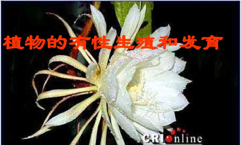 八年级科学上册 7.1植物的有性生殖和发育课件 华东师大版