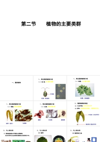 八年级生物下册 第22章 第3节 植物的主要类群课件2 北师大版