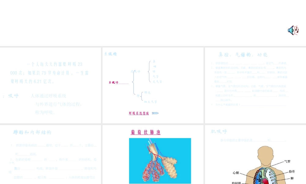 八年级科学上册 7.2 人体的呼吸课件 华东师大版