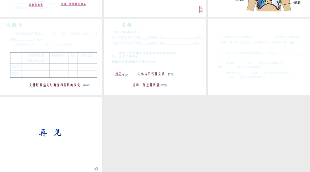 八年级科学上册 7.2 人体的呼吸课件 华东师大版