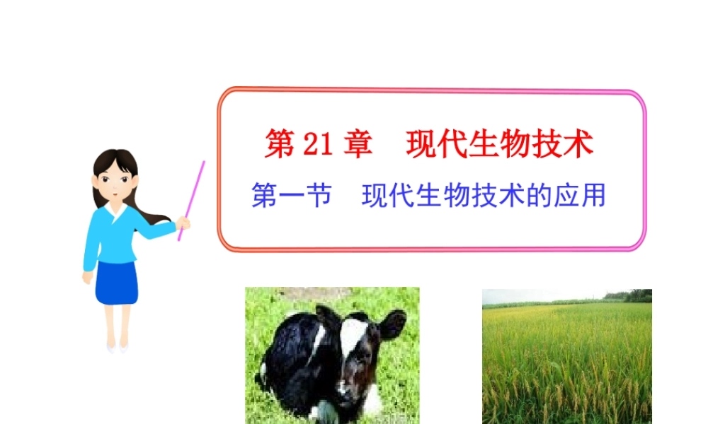 八年级生物下册 第8单元 第21章 第一节 现代生物技术的应用课件 苏教版