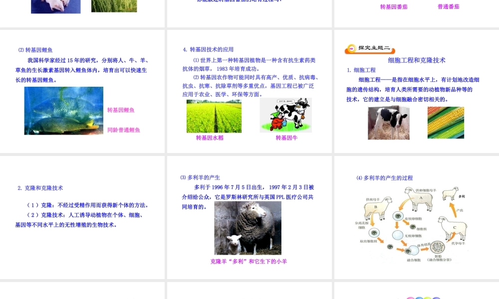 八年级生物下册 第8单元 第21章 第一节 现代生物技术的应用课件 苏教版