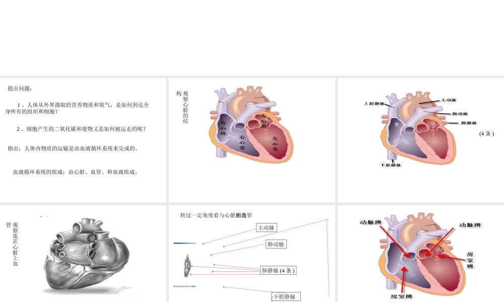 八年级科学上册 7.3人体内物质的运输课件 华东师大版