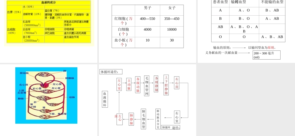 八年级科学上册 7.3人体内物质的运输课件 华东师大版