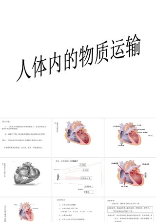 八年级科学上册 7.3人体内物质的运输课件 华东师大版