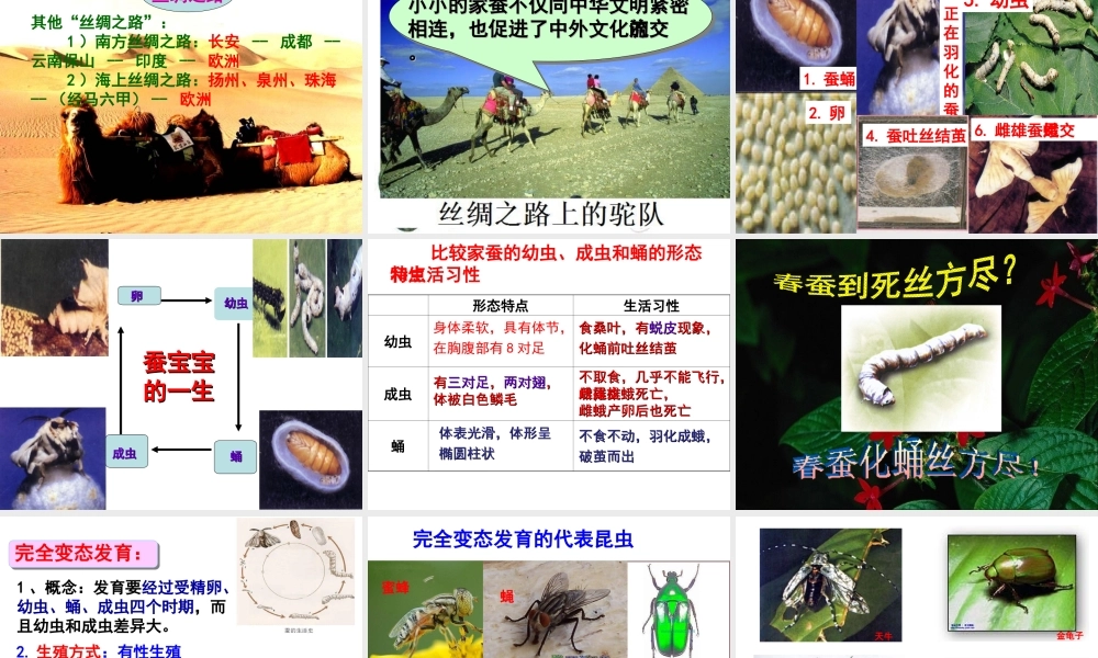 八年级生物下册 第6单元 第1章 第2节 动物的生殖和发育 昆虫的生殖和发育课件 （新版）冀教版-（新版）冀教版初中八年级下册生物课件