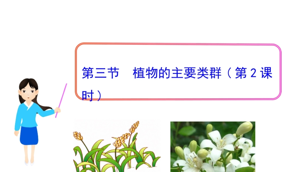 八年级生物下册 第22章 第3节《植物的主要类群》课件 （新版）北师大版
