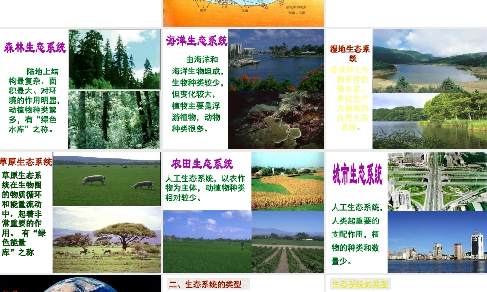 八年级生物下册 第8单元 第23章 第1节《生态系统概述》课件 北师大版