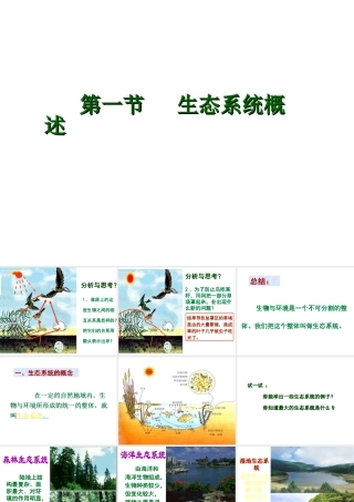 八年级生物下册 第8单元 第23章 第1节《生态系统概述》课件 北师大版