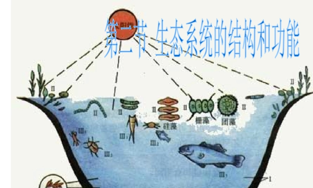 八年级生物下册 第8单元 第23章 第2节《生态系统的结构和功能》课件 北师大版