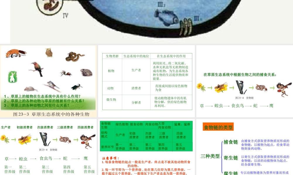 八年级生物下册 第8单元 第23章 第2节《生态系统的结构和功能》课件 北师大版