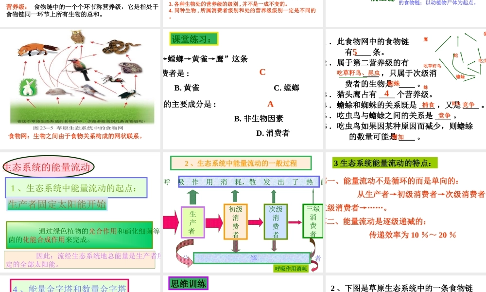 八年级生物下册 第8单元 第23章 第2节《生态系统的结构和功能》课件 北师大版