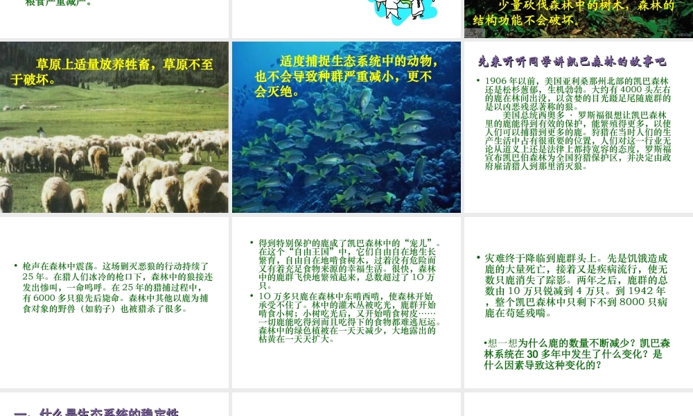 八年级生物下册 第8单元 第23章 第3节《生态系统的稳定性》课件 北师大版