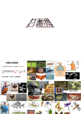 八年级生物下册 第22章 第4节 动物的主要类群课件 （新版）北师大版-（新版）北师大版初中八年级下册生物课件