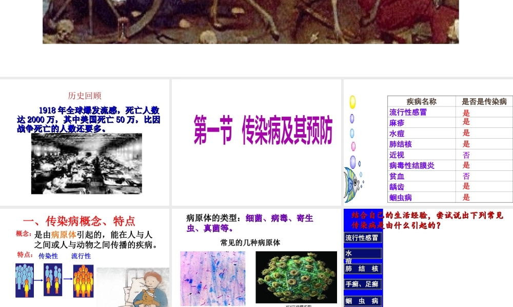 八年级生物下册 第八单元 第一章 第一节 传染病及其预防课件3 （新版）新人教版-（新版）新人教版初中八年级下册生物课件