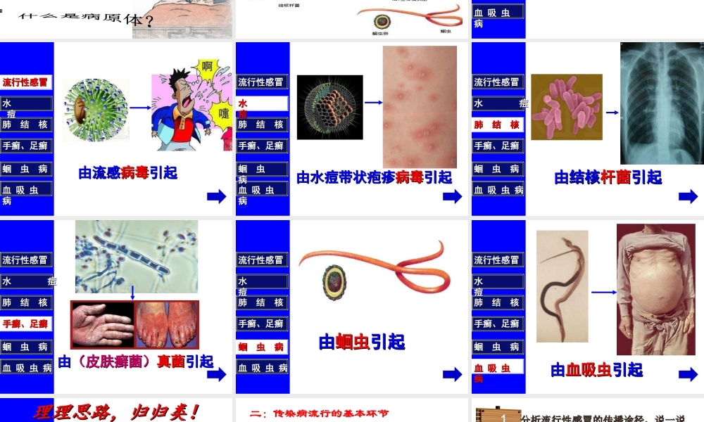 八年级生物下册 第八单元 第一章 第一节 传染病及其预防课件3 （新版）新人教版-（新版）新人教版初中八年级下册生物课件