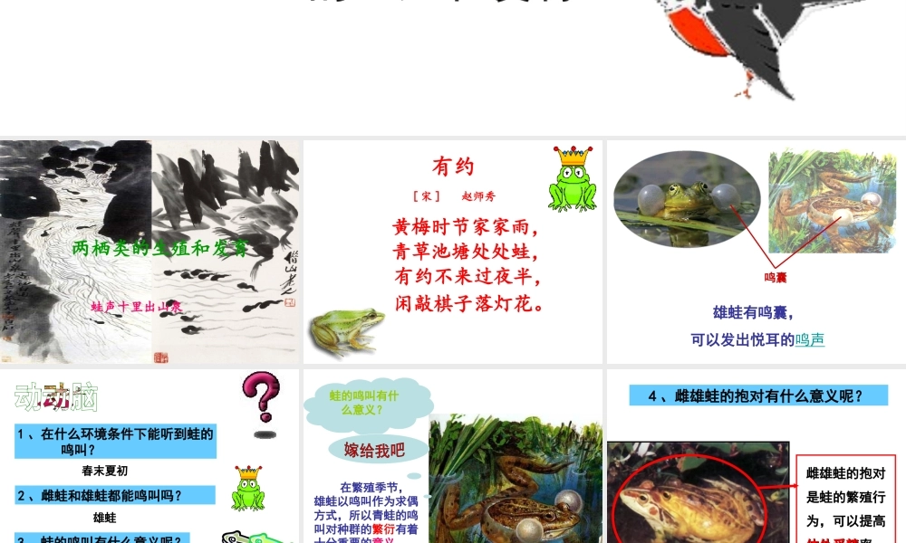 八年级生物下册 第6单元 第1章 第2节 动物的生殖和发育 两栖类、鸟类的生殖和发育课件 （新版）冀教版-（新版）冀教级下册生物课件