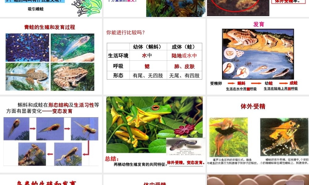 八年级生物下册 第6单元 第1章 第2节 动物的生殖和发育 两栖类、鸟类的生殖和发育课件 （新版）冀教版-（新版）冀教级下册生物课件