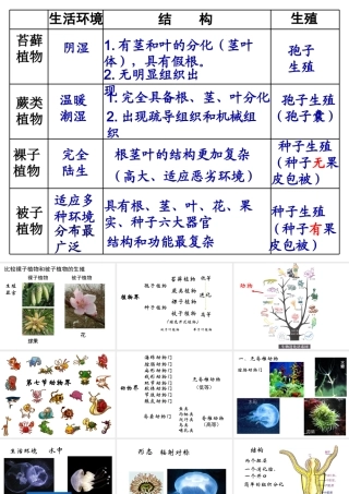 八年级生物下册 第22章 第4节 动物的主要类群课件1 北师大版