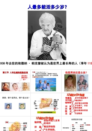 八年级生物下册 第6单元 第1章 第2节 动物的生殖和发育 人的生殖和胚胎发育课件 （新版）冀教版-（新版）冀教版初中八年级下册生物课件