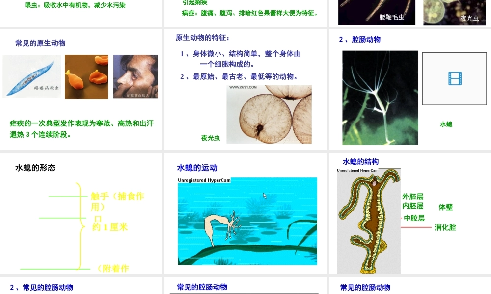 八年级生物下册 第22章 第4节 动物的主要类群课件2 北师大版