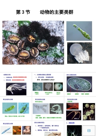 八年级生物下册 第22章 第4节 动物的主要类群课件2 北师大版