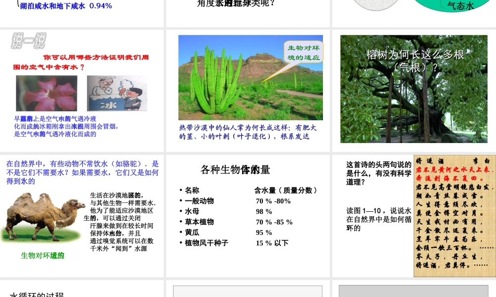 八年级科学上册 第1章 生活中的水 第一节 水在哪里 课件浙教版