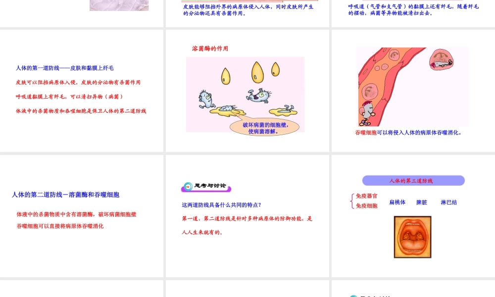 八年级生物下册 第8单元 第一章 第二节 免疫与计划免疫课件 新人教版