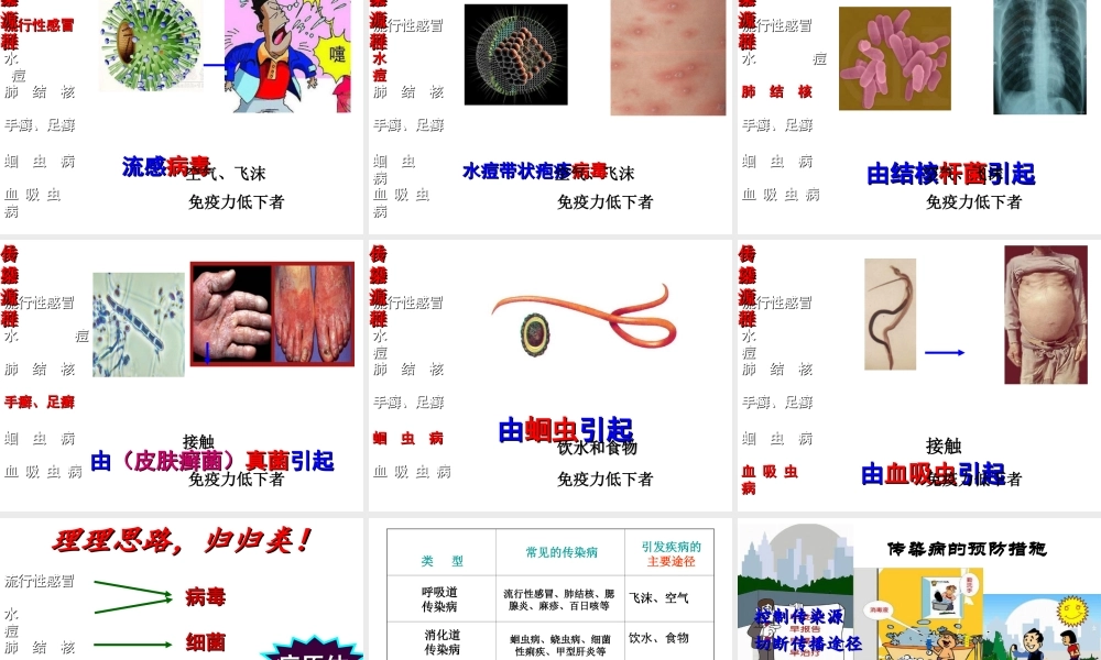 八年级生物下册 第八单元 第一章 第一节 传染病及其预防课件3 新人教版