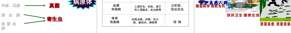 八年级生物下册 第八单元 第一章 第一节 传染病及其预防课件3 新人教版