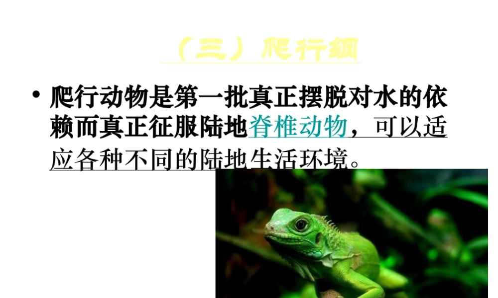 八年级生物下册 第22章 第4节 动物的主要类群课件3 北师大版