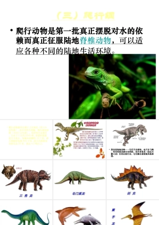 八年级生物下册 第22章 第4节 动物的主要类群课件3 北师大版