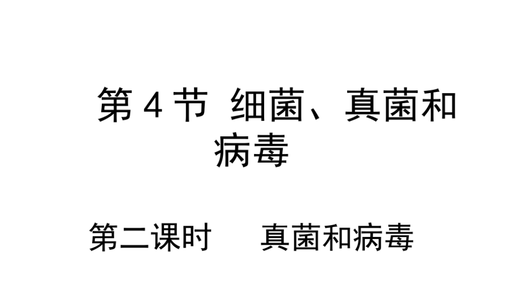 八年级生物下册 第22章 第4节 细菌、真菌和病毒课件 北师大版-北师大版初中八年级下册生物课件