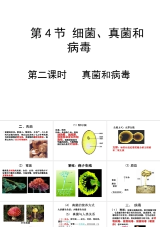 八年级生物下册 第22章 第4节 细菌、真菌和病毒课件 北师大版-北师大版初中八年级下册生物课件