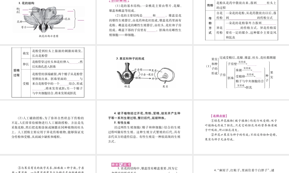 八年级生物下册 第6单元 第1章 生物的繁殖复习课件 （新版）冀教版-（新版）冀教版初中八年级下册生物课件