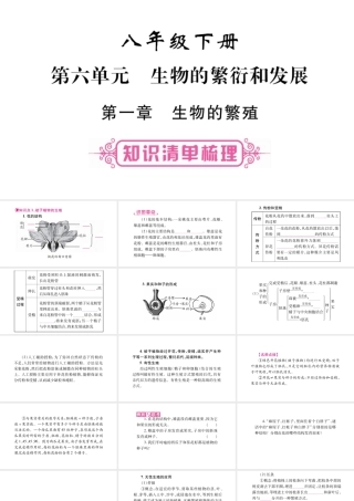 八年级生物下册 第6单元 第1章 生物的繁殖复习课件 （新版）冀教版-（新版）冀教版初中八年级下册生物课件