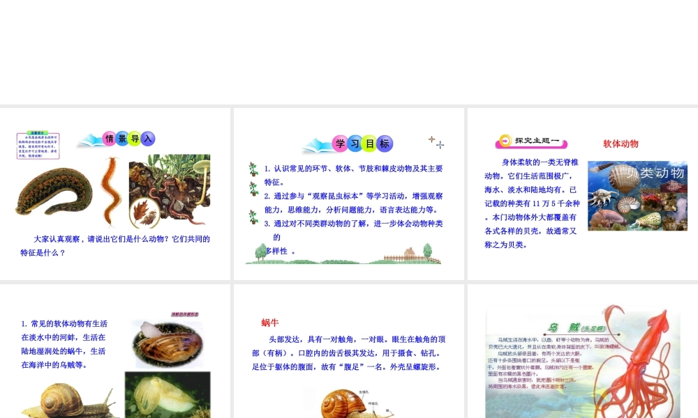 八年级生物下册 第22章 第4节《动物的主要类群》课件 （新版）北师大版